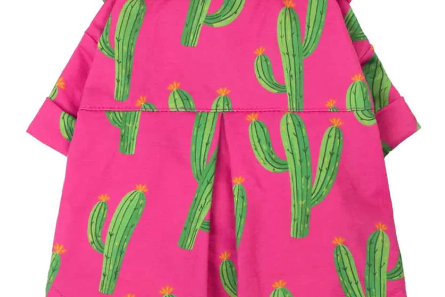 dog shirt with cactus