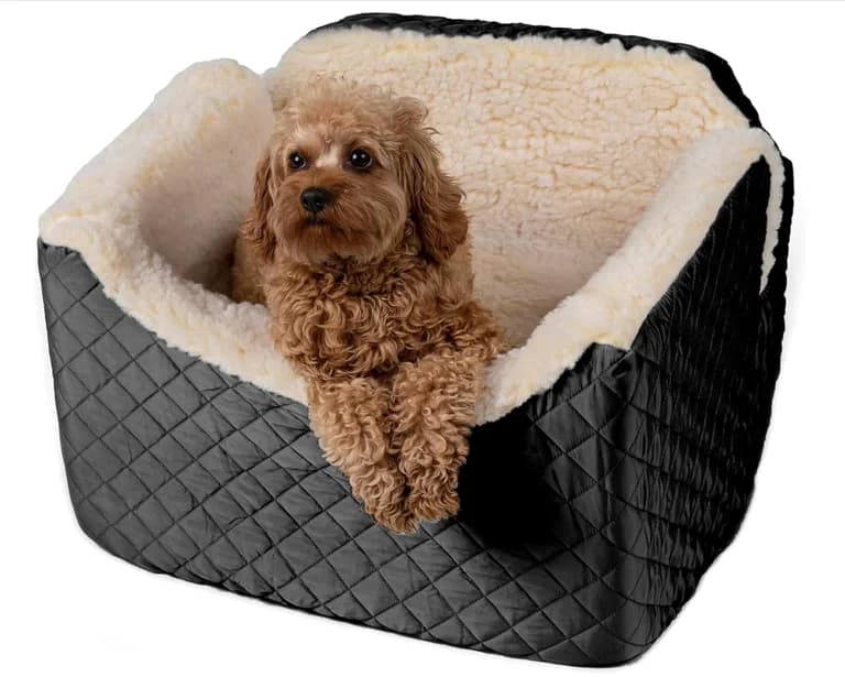 dog in snoozer bag